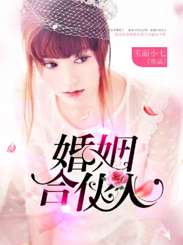 婚姻合伙人九微