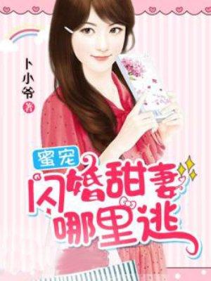 闪婚蜜宠简介