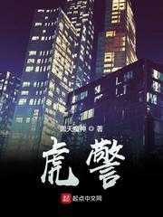 虎警大队2006电影完整版