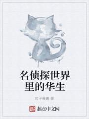 名侦探世界里的技术