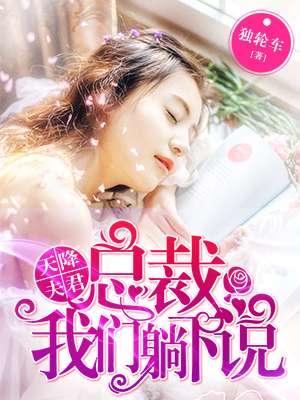 天降总裁书名