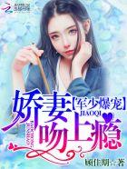 帝少爆宠娇妻霸上瘾帝少独宠娇妻完整版
