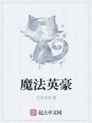 我想看魔法英雄