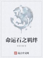 命运之石怎么用