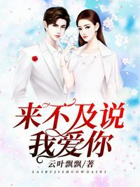来不及说我爱你歌曲