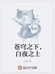 苍穹之下下一句接什么