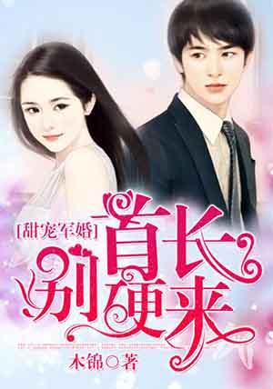 甜宠军婚首长别硬来陆允儿