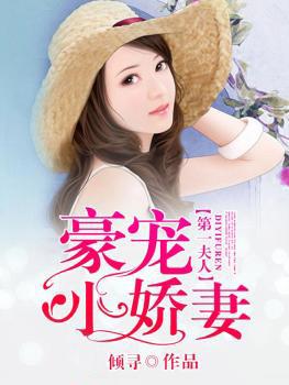 第一夫人豪宠小娇妻