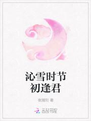 侧妃在上故事梗概
