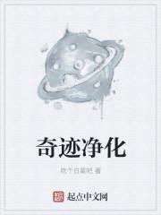 奇迹世界净化石
