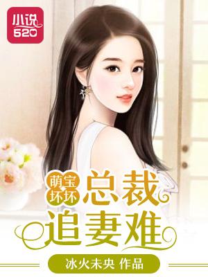 总裁追妻天才萌宝