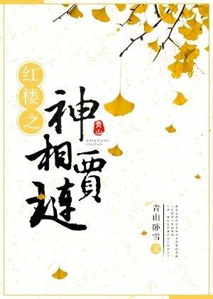 红楼之神相贾琏笔趣阁