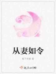 从妻免费阅读