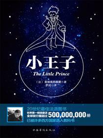 小王子书籍