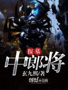 探墓中郎将后续