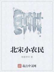 宋朝 农民