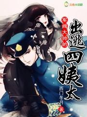 军阀大帅的出逃四姨娘