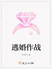逃婚大作战日剧