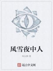 风雪夜归人上一句诗是什么