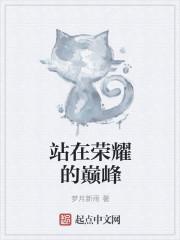王者荣耀巅峰榜