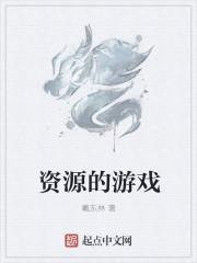 游戏中的资源