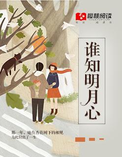 谁知明月心暗示了什么情感