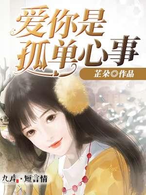 爱你是孤单的心事
