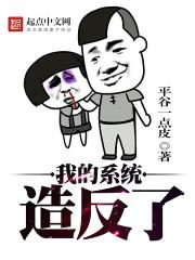 系统制造者!