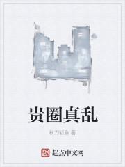 贵圈真乱什么意思