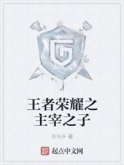 王者荣耀主宰进化史