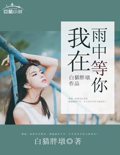 我在雨中等你原版