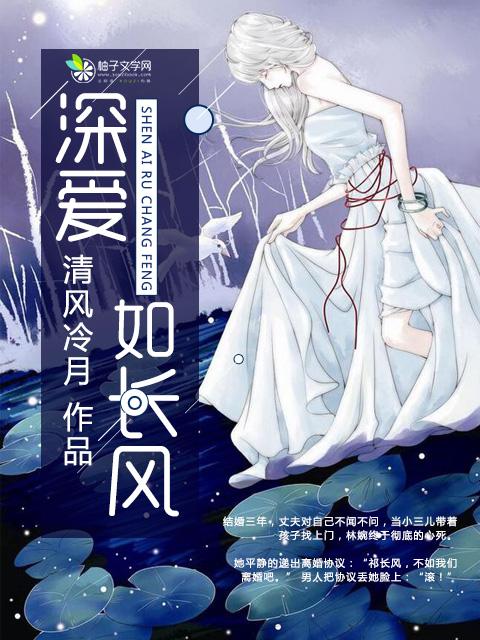 深爱如长风苏冉陆靳淮