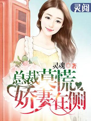 总裁娇妻惹人疼