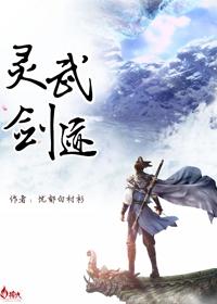 灵武大陆剑元