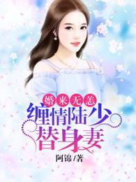 婚婚欲睡陆少夫人要离婚