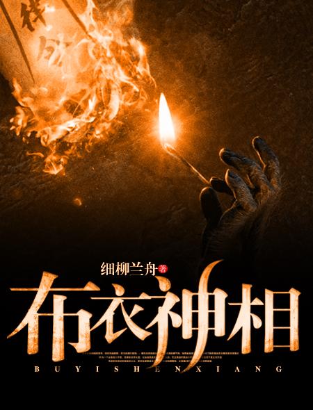 神相李布衣1984 电视剧在线观看