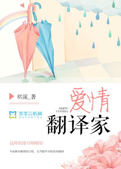 翻译官爱情