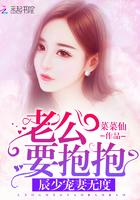 辰少宠妻入骨