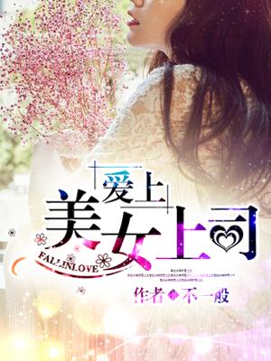 爱上女领导阅读