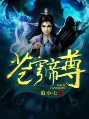 御风苍穹帝尊