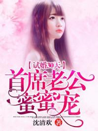 试婚老公超给力全文免费阅读全文