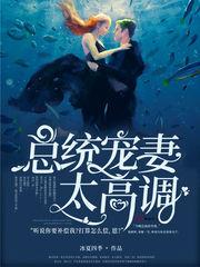 总统宠妻太高调(蓝希