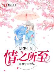 陆先生的情之所至免费陆时亦