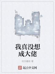 我真的没想当大佬