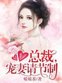 宠妻请节制 作者暖暖茶