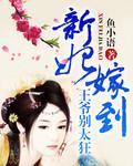 新妃嫁到王爷别太狂无广告