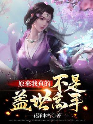 我真的 不是盖世高人