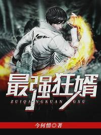 至尊强婿的目录