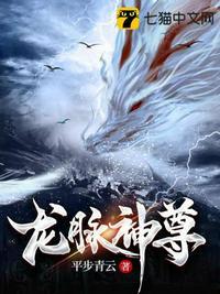 龙脉至尊全文阅读