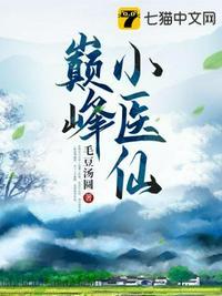 巅峰小医圣